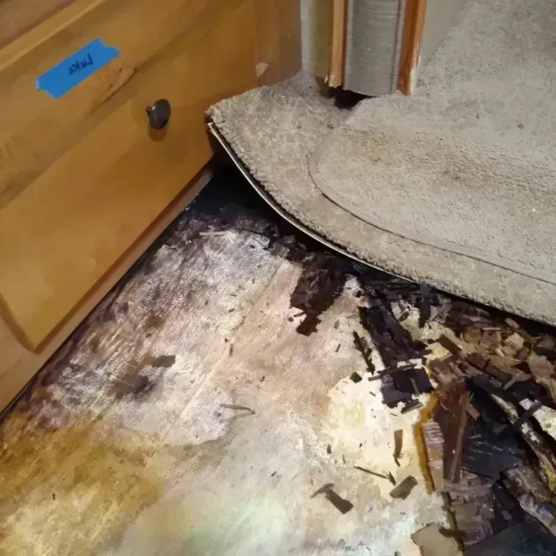 Wood Floor Water Damage in Marietta, PA